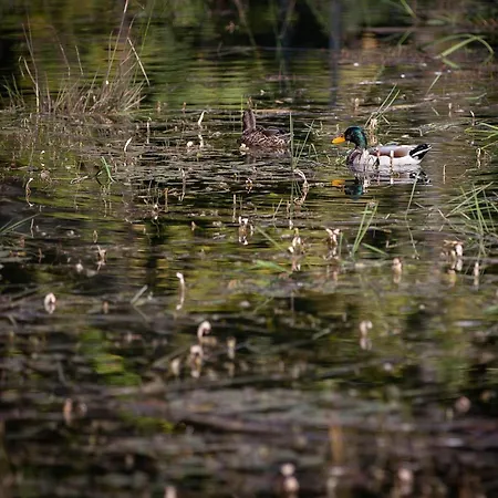 Hébergement de vacances Cozy In *
