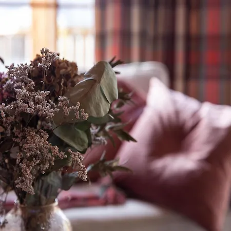 Cozy In Hébergement de vacances