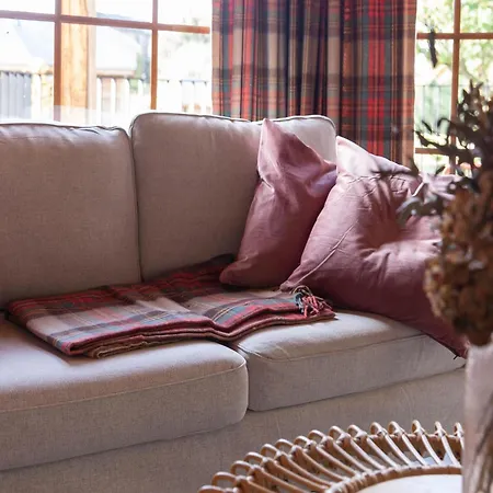 Cozy In